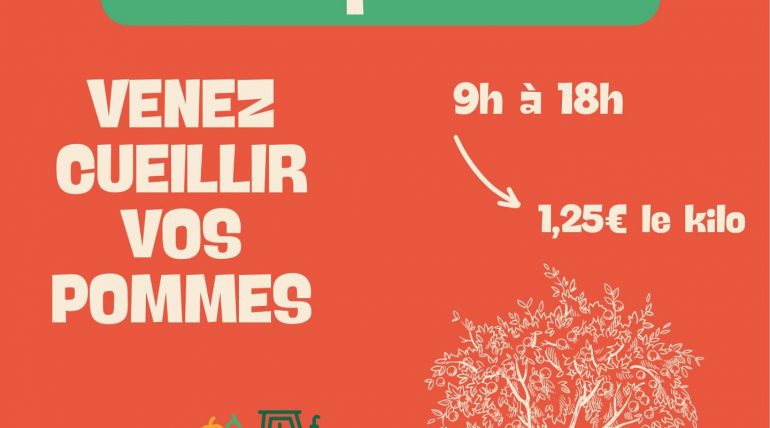 Venez cueillir vos pommes aux vergers de kerbellec à Brech