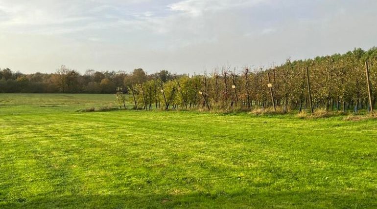 Depuis le 1er mars 2026, nous avons le plaisir d’annoncer que notre établissement est désormais membre du réseau France Passion. Vergers de Kerbellec à Brech