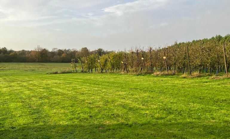 Depuis le 1er mars 2026, nous avons le plaisir d’annoncer que notre établissement est désormais membre du réseau France Passion. Vergers de Kerbellec à Brech